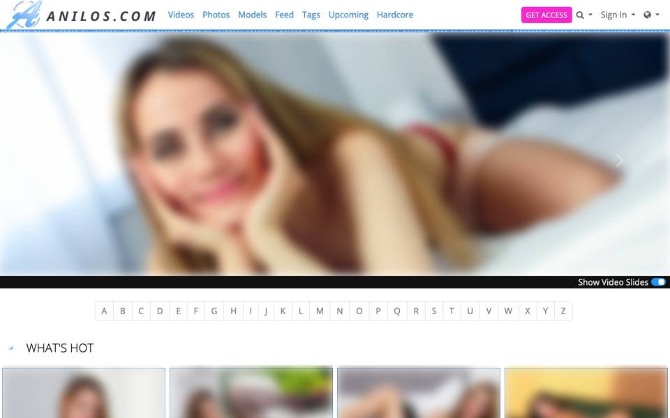 Anilos homepage (blurred)