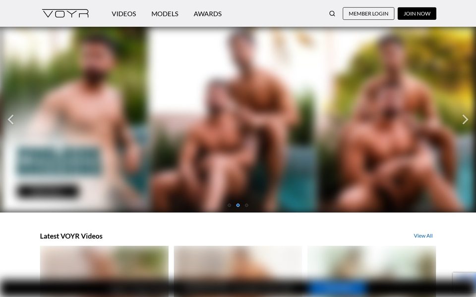 Voyr homepage (blurred)